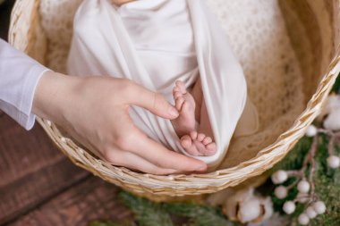 Annenin elleri beyaz bir battaniyenin içinde, kozalaklı dallar ve ahşap bir zeminde pamukla süslenmiş sepetin içinde şirin bebek bacakları tutuyor. Mutlu annelik