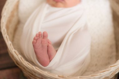 Hasır sepetin içinde beyaz bir battaniyenin içinde, kozalaklı dallar ve ahşap zeminde pamukla süslenmiş şirin bebek bacakları. Mutlu orospu çocukları.