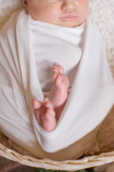 可爱的小宝宝腿在白色毛毯在柳条篮装饰的分枝针叶树和棉花在木制地板上 快乐的母亲 — 图库照片