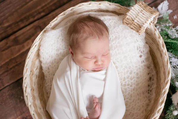 小可爱的婴儿 裹着白色的毛毯 在柳条篮里 用针枝和棉花装饰在木地板上 母性快乐 — 图库照片