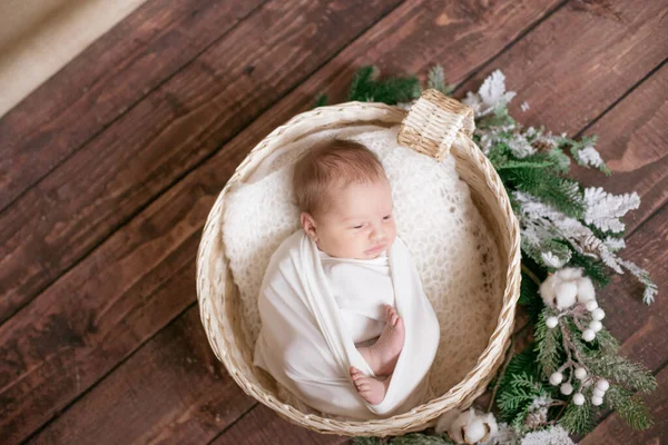 Lille Sød Baby Hvidt Tæppe Fletkurv Dekoreret Med Grene Nåle - Stock-foto