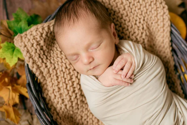 Γλυκό Μωράκι Που Κοιμάται Ένα Ψάθινο Καλάθι Κλαδιά Κίτρινα Φύλλα — Φωτογραφία Αρχείου