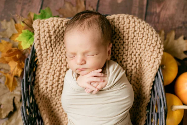 Mignon Petit Bébé Dormant Dans Panier Brindilles Osier Avec Des — Photo