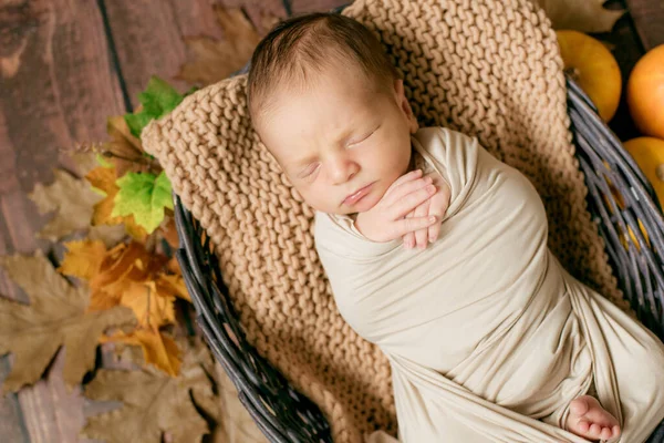 Mignon Petit Bébé Dormant Dans Panier Brindilles Osier Avec Des — Photo