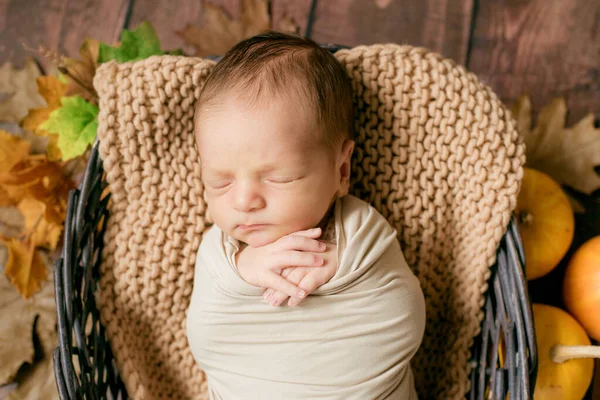 Cute Little Baby Sleeping Wicker Basket Twigs Yellow Leaves Little — Stock Photo, Image