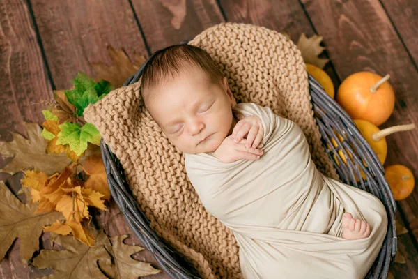 可爱的小宝宝睡在一个柳条筐里 小树枝上有黄叶和小桔子南瓜 — 图库照片