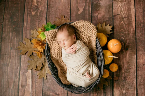 Söpö Vauva Nukkuu Pajukorissa Jossa Keltaisia Lehtiä Oransseja Kurpitsoja — kuvapankkivalokuva