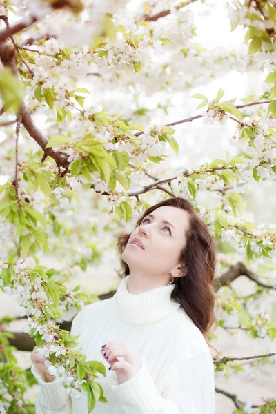 美丽的女人 棕色的头发 白色的针织毛衣 春天在一个盛开的樱花花园里 春天的自然 — 图库照片