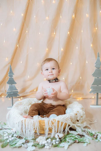 Petit Mignon Pantalon Nœud Papillon Est Assis Dans Panier Décoré — Photo