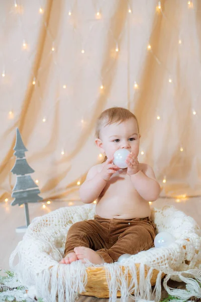 Petit Mignon Pantalon Nœud Papillon Est Assis Dans Panier Décoré — Photo