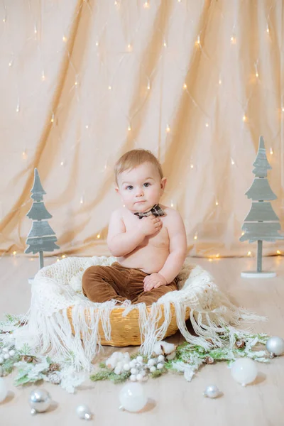 Petit Mignon Pantalon Nœud Papillon Est Assis Dans Panier Décoré — Photo