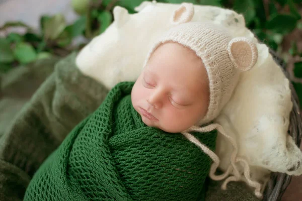戴着便帽的可爱的小宝宝躺在一个柳条篮里 绿色毛毯上有绿叶和苹果 秋天的心情 快乐健康的童年 — 图库照片