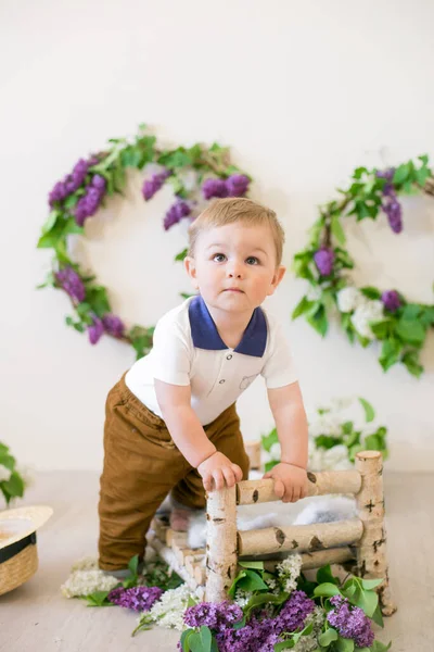 Ragazzino Uno Studio Primaverile Decorato Con Fiori Lilla Limoni Primavera — Foto Stock