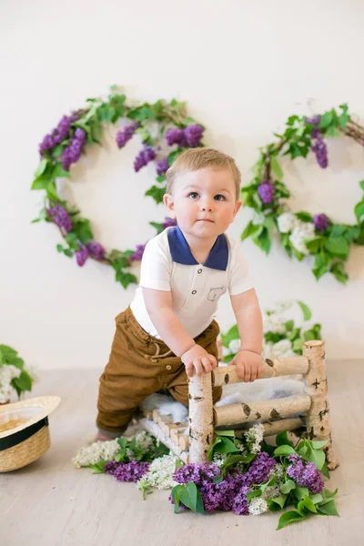 Kleiner Junge Einem Frühlingsstudio Das Mit Fliederfarbenen Blumen Und Zitronen — Stockfoto