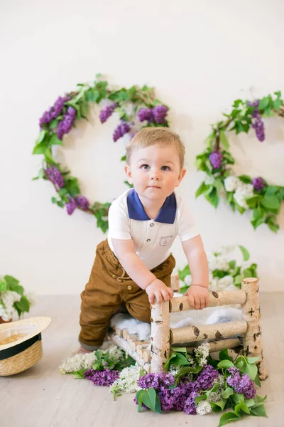 Ragazzino Uno Studio Primaverile Decorato Con Fiori Lilla Limoni Primavera — Foto Stock