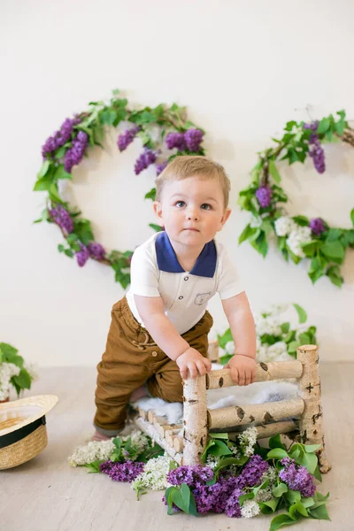 Kleine Jongen Een Voorjaarsstudio Versierd Met Lila Bloemen Citroenen Bloeiende — Stockfoto