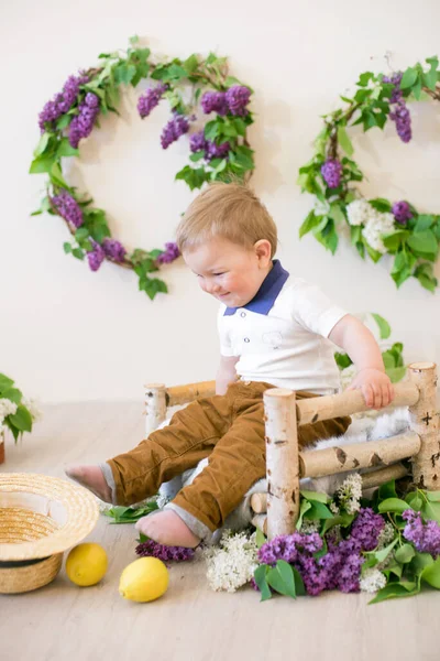 Niño Estudio Primavera Decorado Con Flores Lila Limones Primavera Flor — Foto de Stock