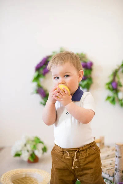 Kleiner Junge Einem Frühlingsstudio Das Mit Fliederfarbenen Blumen Und Zitronen — Stockfoto