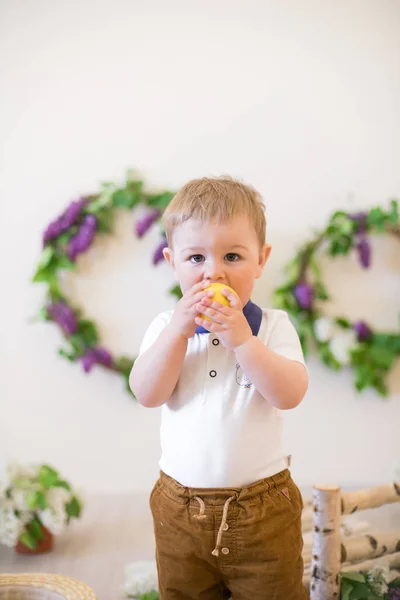 Kleiner Junge Einem Frühlingsstudio Das Mit Fliederfarbenen Blumen Und Zitronen — Stockfoto