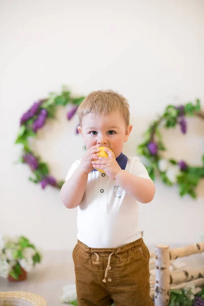 Kleiner Junge Einem Frühlingsstudio Das Mit Fliederfarbenen Blumen Und Zitronen — Stockfoto