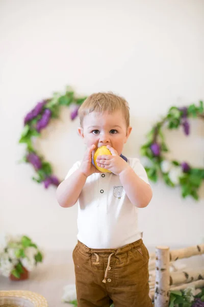 Kleiner Junge Einem Frühlingsstudio Das Mit Fliederfarbenen Blumen Und Zitronen — Stockfoto