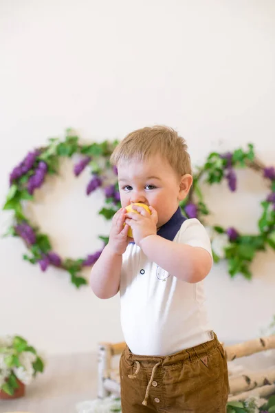 Мальчик Весенней Студии Украшенной Лиловыми Цветами Лимонами Цветущая Весна — стоковое фото