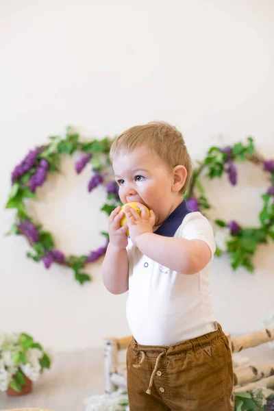 Kleiner Junge Einem Frühlingsstudio Das Mit Fliederfarbenen Blumen Und Zitronen — Stockfoto