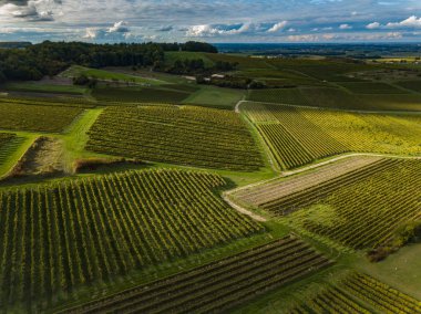 Fransa, Charente, Saint Preuil, Vue aerienne du vigNoble de Cognac