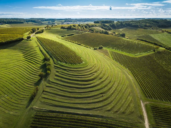 Francia, Charente, Saint Preuil, Vue aerienne du vignoble de Cognac —  Fotos de Stock