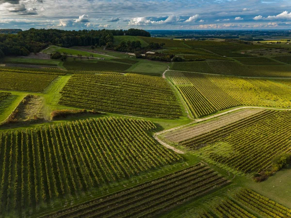 France, Charente, Saint Preuil, Vue aerienne du vignoble de Cognac — Photo
