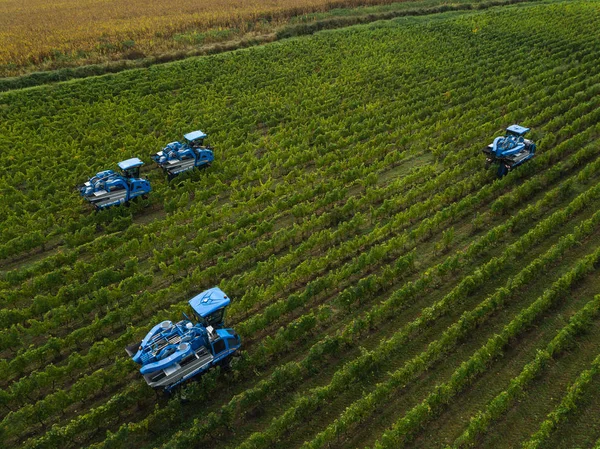 Francia, Gironda, settembre, 26-2019, Raccolta meccanica con quattro macchine per la vendita, Aoc Bordeaux, Vineyard Bordelais, Gironde, Aquitania — Foto Stock