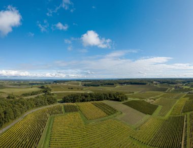 Fransa, Charente, Saint Preuil, Vue aerienne du vigNoble de Cognac