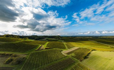 Fransa, Charente, Saint Preuil, Vue aerienne du vigNoble de Cognac