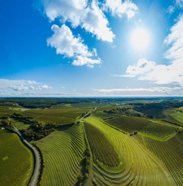 Fransa, Charente, Saint Preuil, Vue aerienne du vigNoble de Cognac