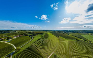 Fransa, Charente, Saint Preuil, Vue aerienne du vigNoble de Cognac