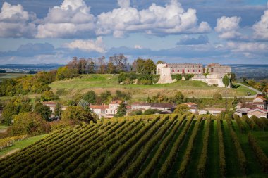 Bouteville, konyak üzüm bağları, Castel Bouteville
