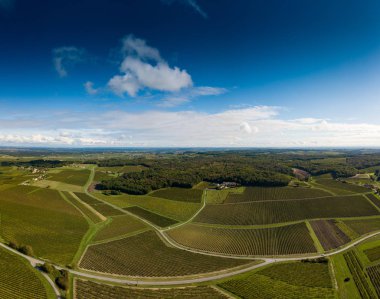 Fransa, Charente, Saint Preuil, Vue aerienne du vigNoble de Cognac