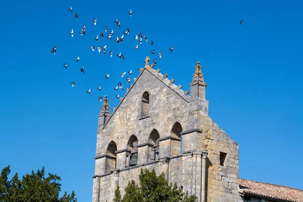 KURSER FÖR BLASIMON, ENTRE DEUX MERS, GIRONDE, AQUITAINE — Stockfoto