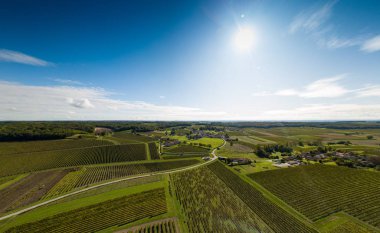 Fransa, Charente, Saint Preuil, Vue aerienne du vigNoble de Cognac