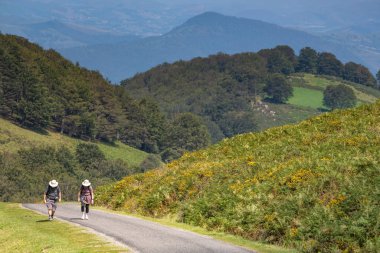 Sırt çantalı hacılar Fransa 'nın Bask bölgesinde Camino de Santiago' da yürüyorlar.