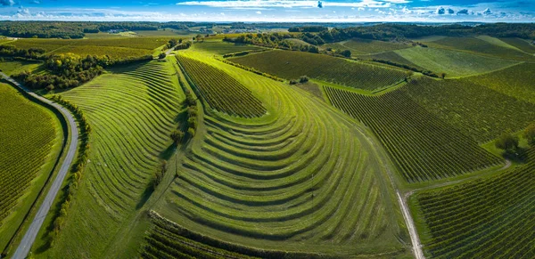 Francia, Charente, Saint Preuil, Vue aerienne du vignoble de Cognac —  Fotos de Stock