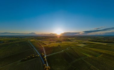 Fransa, Charente, Saint Preuil, Vue aerienne du vigNoble de Cognac