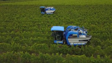 Fransa, Gironde, Eylül, 26-2019, Satmak için Dört Makineyle Mekanik Hasat, Aoc Bordeaux, Vineyard Bordelais, Gironde, Aquitaine