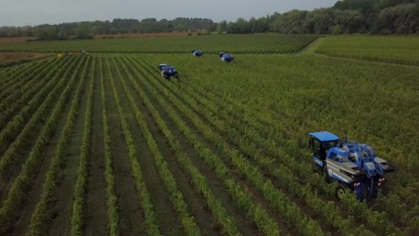 Frankrijk, Gironde, September 2019, Mechanische oogst met vier machines voor de verkoop, Aoc Bordeaux, Wijngaard Bordelais, Gironde, Aquitaine — Stockvideo