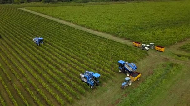 França, Gironda, Setembro 2019, Colheita Mecânica Com Quatro Máquinas Para Venda, Aoc Bordeaux, Vinhedo Bordelais, Gironda, Aquitânia — Vídeo de Stock