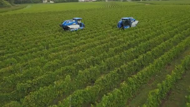 Frankrijk, Gironde, 26 september 2019, Mechanische oogst met vier machines voor de verkoop, Aoc Bordeaux, Wijngaard Bordelais, Gironde, Aquitaine — Stockvideo