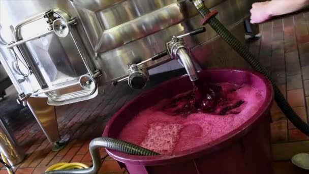 Κελάρι εργασίας, οινοποίηση και επανασυναρμολόγηση του κόκκινου κρασιού σε δεξαμενές χάλυβα, χυμός σταφυλιών, κρασί Μπορντό — Αρχείο Βίντεο