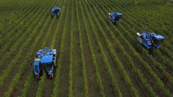 Frankrijk, Gironde, 26 september 2019, Mechanische oogst met vier machines voor de verkoop, Aoc Bordeaux, Wijngaard Bordelais, Gironde, Aquitaine — Stockvideo