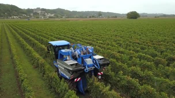 Francia, Gironda, septiembre, 26-2019, cosecha mecánica con cuatro máquinas para la venta, Aoc Bordeaux, Vineyard Bordelais, Gironde, Aquitania — Vídeo de stock