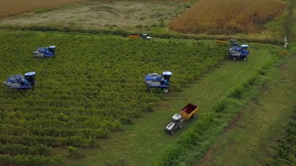 França, Gironda, Setembro, 26-2019, Colheita Mecânica Com Quatro Máquinas Para Venda, Aoc Bordeaux, Vinhedo Bordelais, Gironda, Aquitânia — Vídeo de Stock